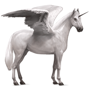 winged riding unicorn kwpn light gray
