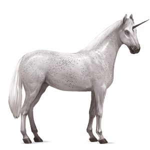 riding unicorn knabstrupper bay leopard
