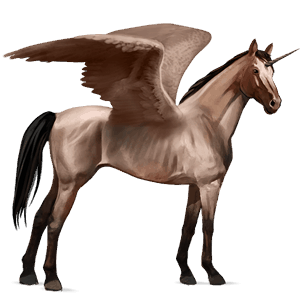 winged riding unicorn kwpn cherry bay