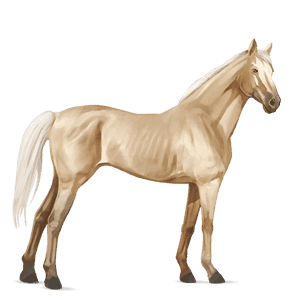 riding horse thoroughbred palomino