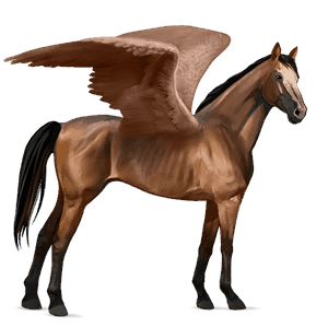 riding pegasus bay