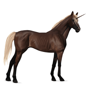 riding unicorn tennessee walker bay