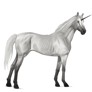 riding unicorn thoroughbred light gray