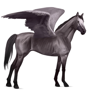 riding pegasus thoroughbred light gray