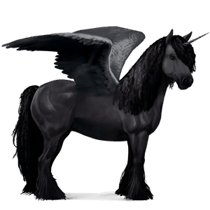 winged riding unicorn vanner black