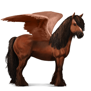riding pegasus vanner chestnut