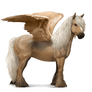 riding pegasus vanner palomino