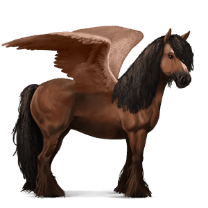 riding pegasus lusitano bay