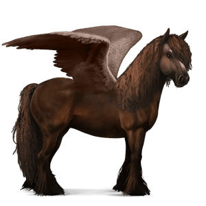 riding pegasus bay