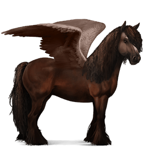 riding pegasus peruvian paso dark bay