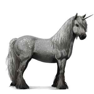 riding unicorn vanner bay