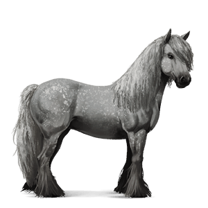 riding horse vanner dapple gray tobiano