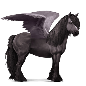 riding pegasus vanner mouse gray