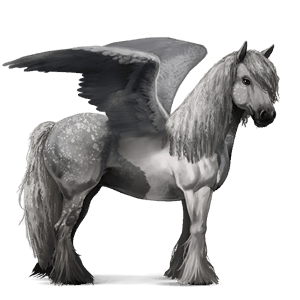 riding pegasus vanner chestnut tobiano