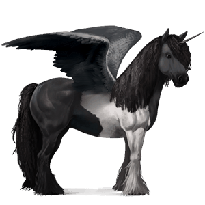 winged draft unicorn drum horse black tobiano