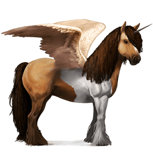 winged riding unicorn vanner black