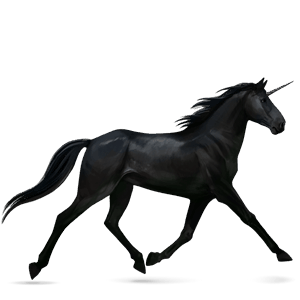 riding unicorn arabian horse black