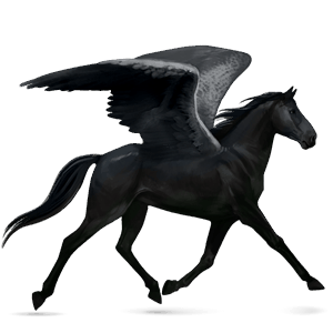 riding pegasus purebred spanish horse light gray