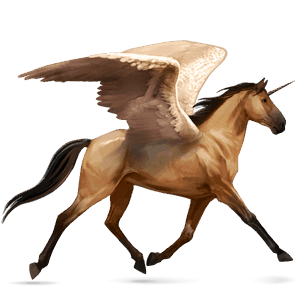 winged riding unicorn barb dun