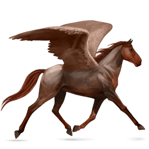 riding pegasus selle français strawberry roan