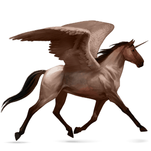 winged riding unicorn morgan bay