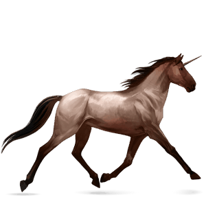 riding unicorn morgan roan