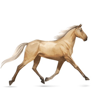 riding horse thoroughbred palomino