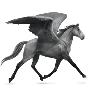 riding pegasus quarter horse dapple gray