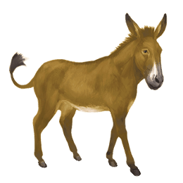 donkey brown
