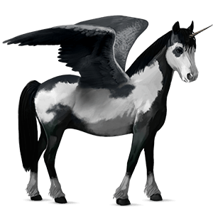 winged unicorn pony  black