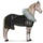 pony anne of austria coat