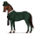 pony inspector lestrade coat