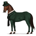 riding horse selle français dark bay