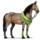draft unicorn forest
