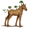 special horse yggdrasil