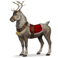 divine horse blitzen 