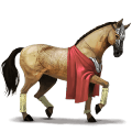 riding horse quarter horse chestnut