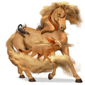 riding horse arabian horse chestnut