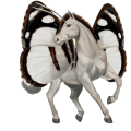 unicorn pony australian pony chestnut