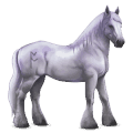 divine horse greyfell   3