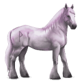 divine horse greyfell   5