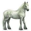 divine horse greyfell   9