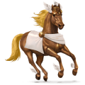 riding horse brumby mouse gray
