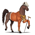 riding horse selle français palomino