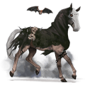riding horse cremello