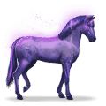 horse of the rainbow devoted indigo