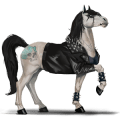 riding horse mustang chestnut