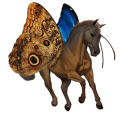 riding unicorn liver chestnut