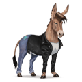 unicorn pony highland pony dun
