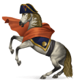 pony highland pony dun